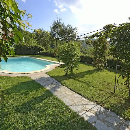 Magnolia Cortona