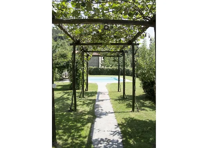 Magnolia * 코르토나