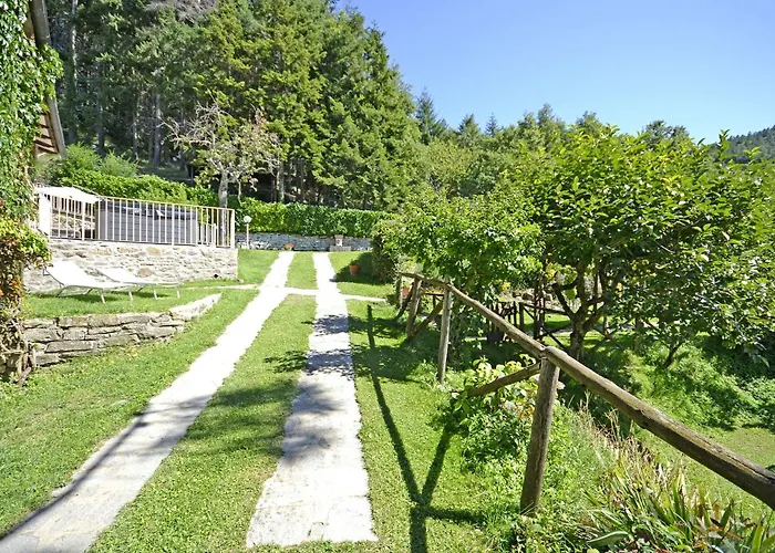 Magnolia 코르토나